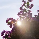 Opatija